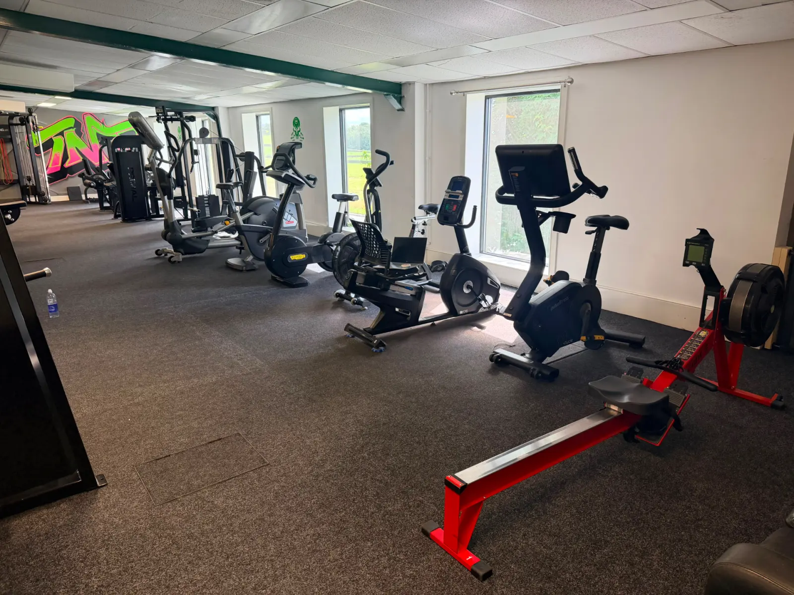 Cardio machines, bikes and rowers beside the windows at TNT Fitness Cowan Bridge